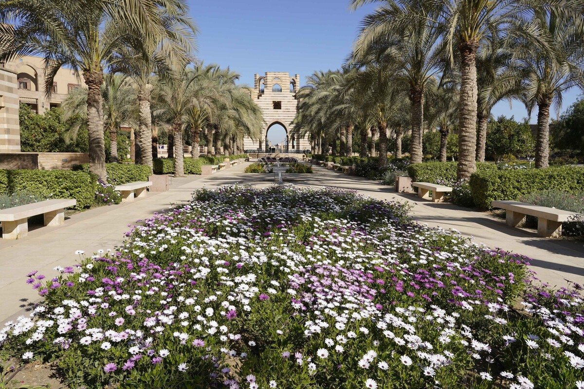 AUC campus