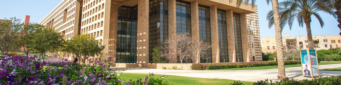 AUC Library Image