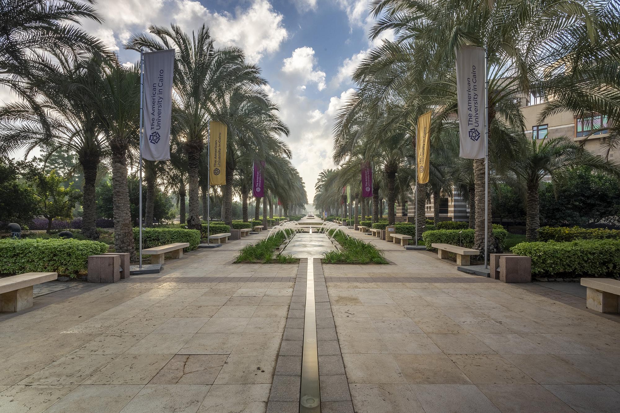 auc gardens