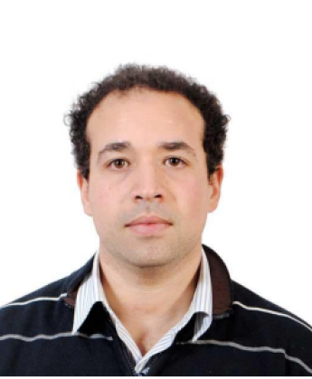 Professor Amr Adly image