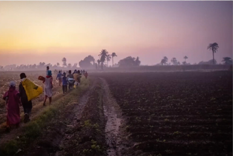 Children walking in a green field 