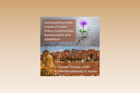 flower growing out of concrete and a cityscape of old Cairo near the citadel with new course titles: Sustainability in the Cracks of Urban Policy: Communities, Bureaucracies and Adaptation and Climate Change: From Interdisciplinarity to Action