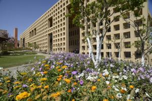 AUC library building