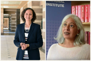 Noha el-mikawy, Radha kumar