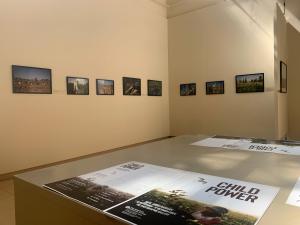Photos on the wall at photo gallery exhibition