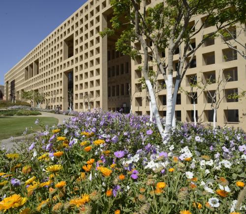 AUC library building
