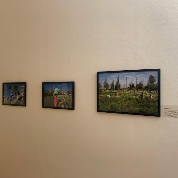 Photos on the wall at photo gallery exhibition